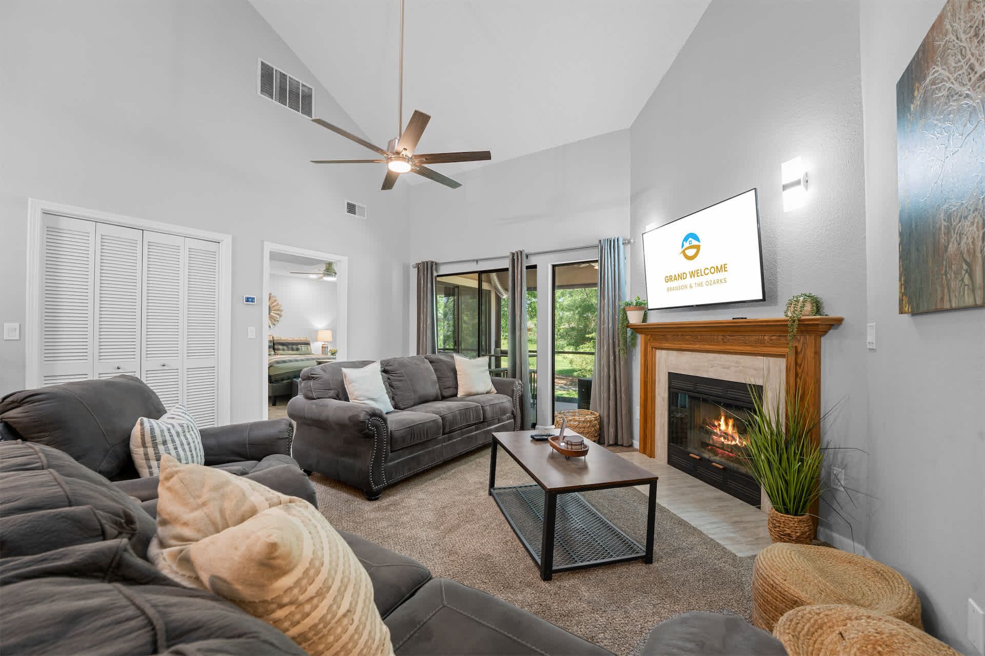 TV, fireplace, books