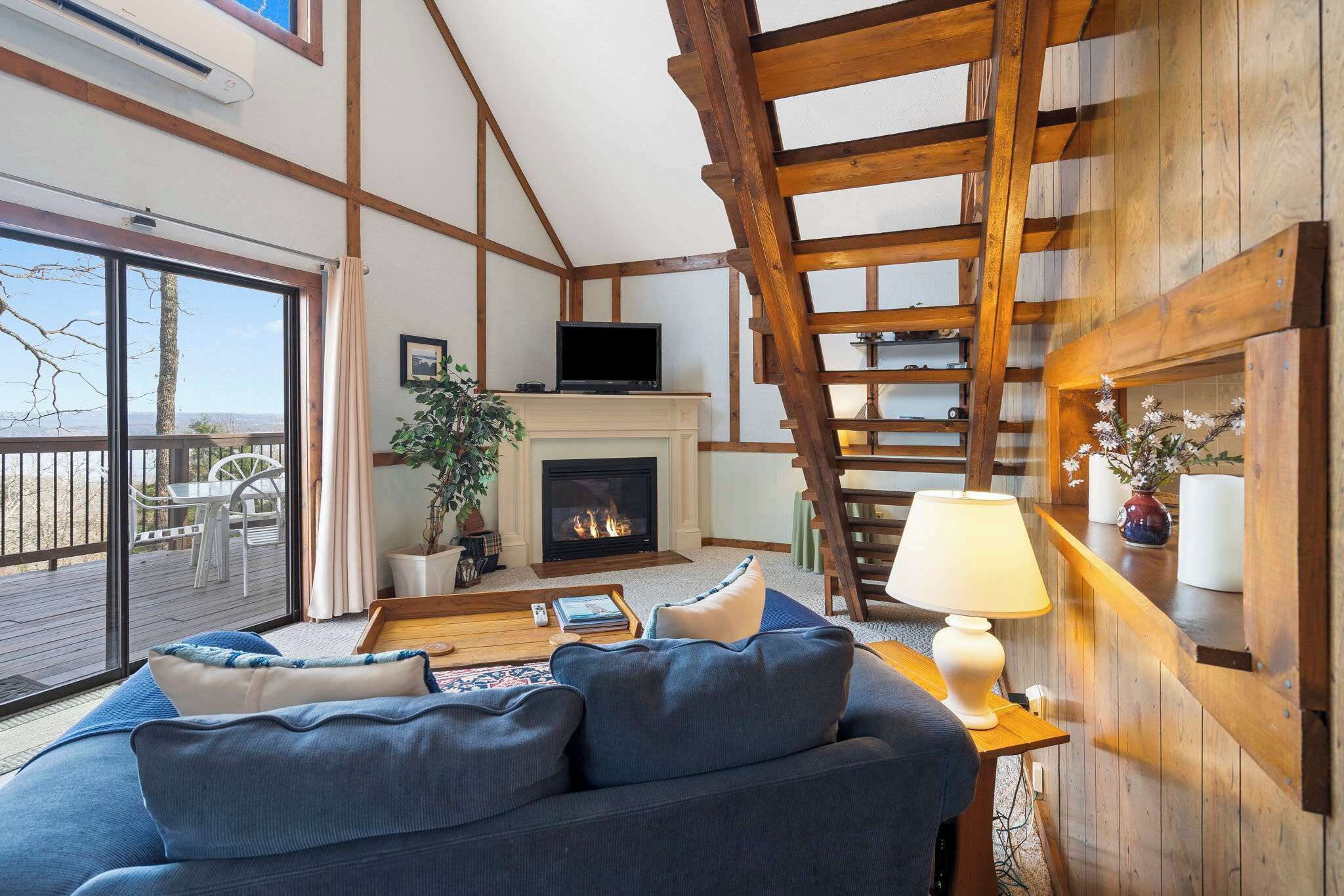 TV, fireplace