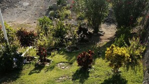 Ein gepflegter Garten mit unterschiedlichen Pflanzen und einem klaren Weg.