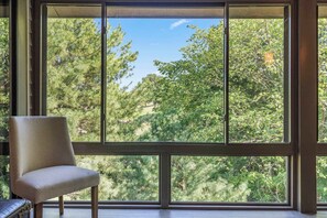 A room with a large window, a chair, and a view of trees.