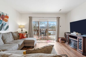 Télévision, cheminée, lecteur de DVD