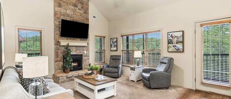 Televisión, chimenea y reproductor de DVD