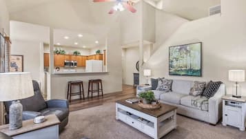 TV, fireplace, DVD player