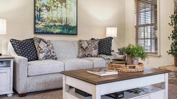 TV, fireplace, DVD player