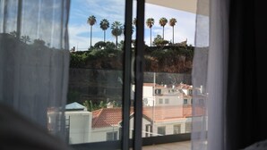 A view through a window with curtains, featuring a row of palm trees and buildings with red-tiled roofs. - Villa Supranee relaxation a unforgettable stay, brand new  accommodation 850sft. (camara de lobos)