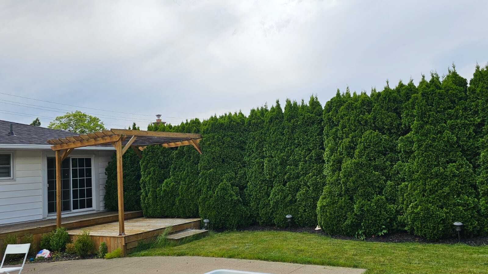 Un jardin avec une pergola en bois, une pelouse bien entretenue et une haie imposante.
