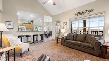 TV, fireplace, DVD player, offices