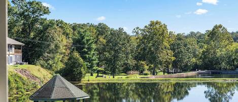 Terrain de l’hébergement