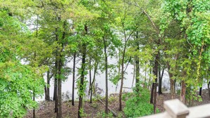 A forested area with trees and a body of water in the background.