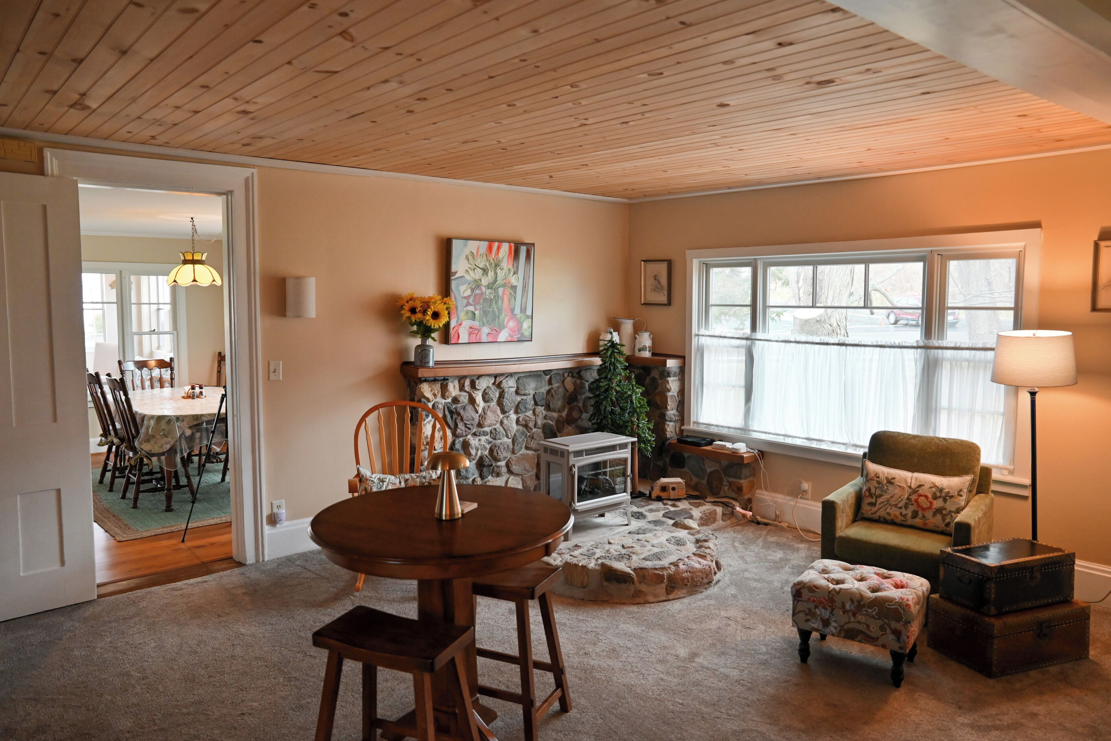 Smart TV, fireplace, books