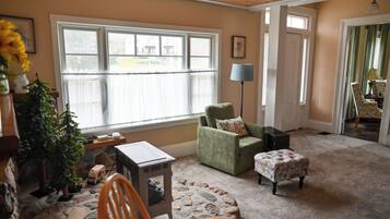 Smart TV, fireplace, books