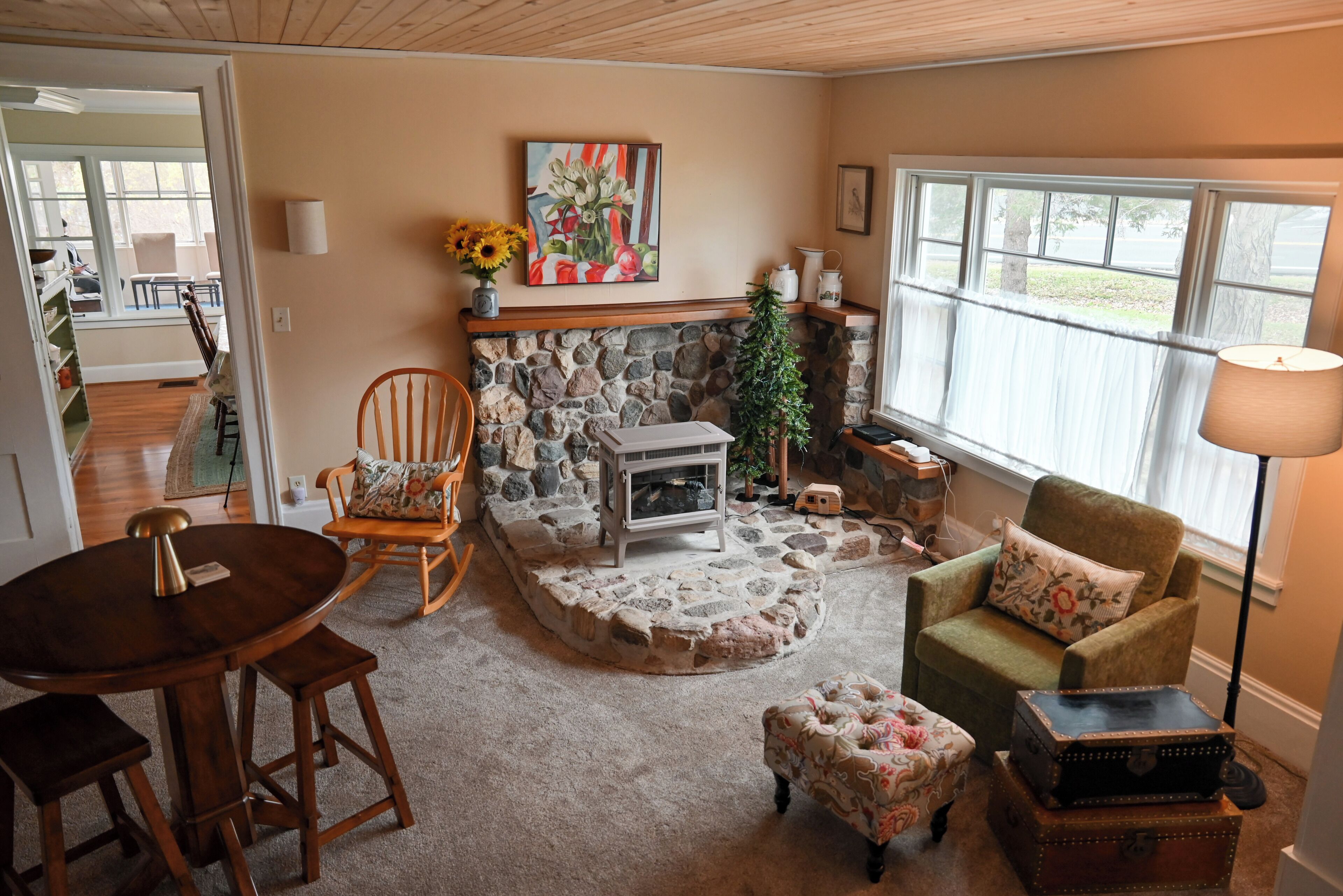 Smart TV, chimenea y libros 