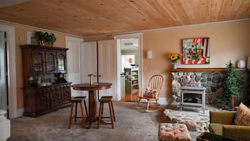 Smart TV, fireplace, books