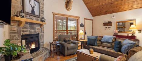 Televisio, takka, DVD-soitin, työhuone