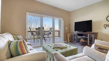 TV, fireplace, DVD player