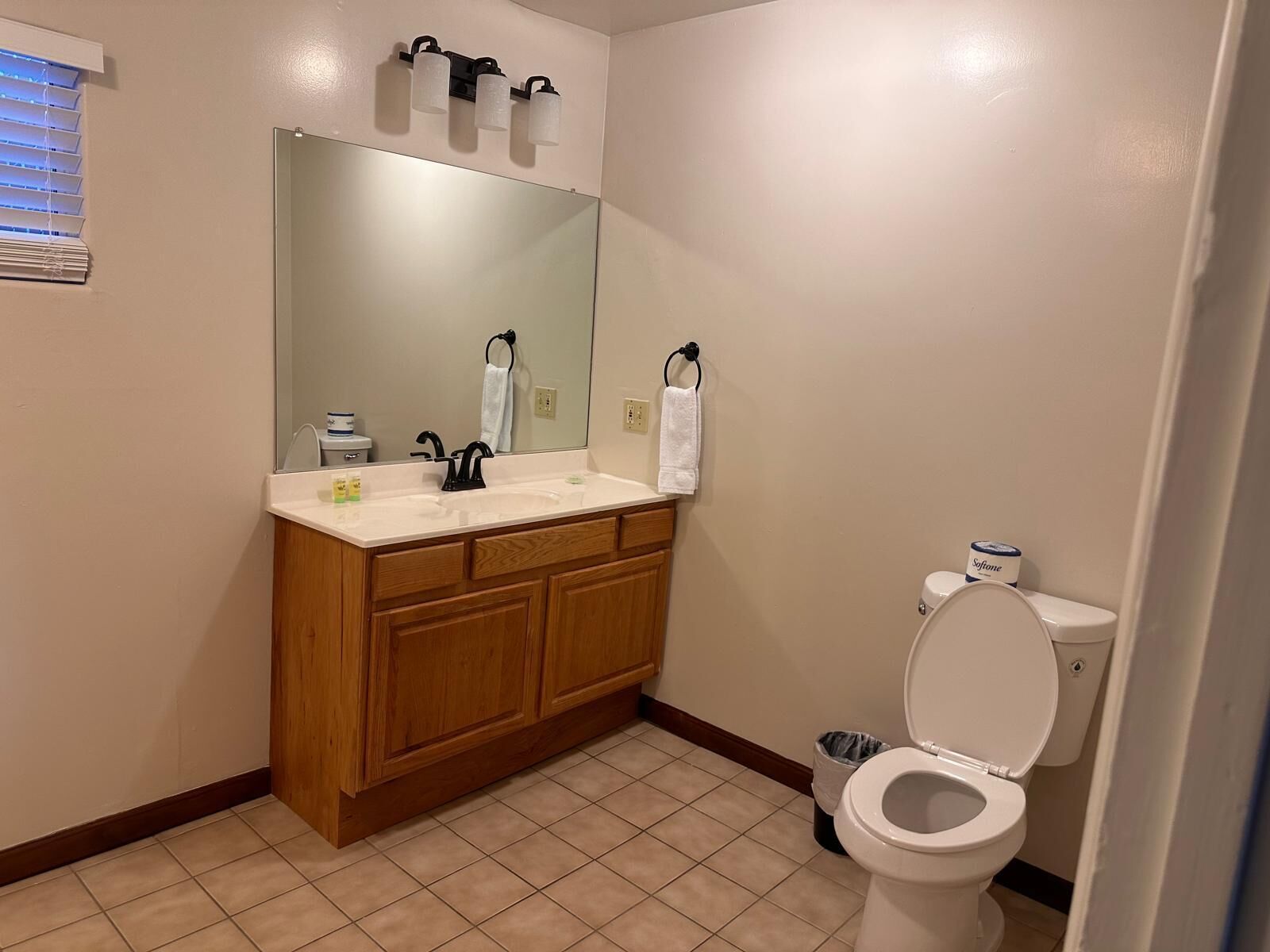 Een badkamer met een witte wastafel, een houten wastafelmeubel, een grote spiegel en een toilet.