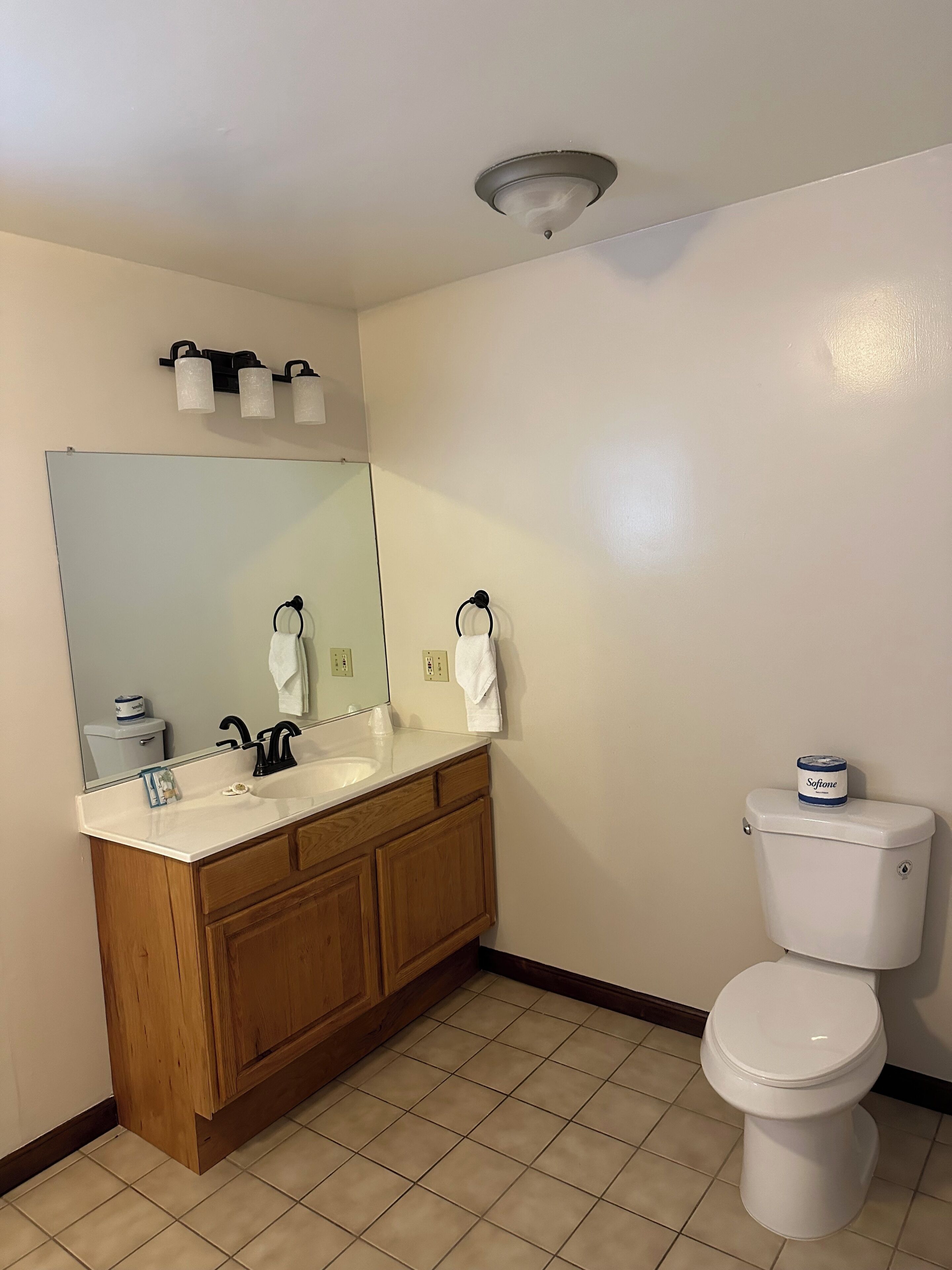 A bathroom with a white sink, wooden vanity, a mirror, a toilet, and a ceiling light fixture.