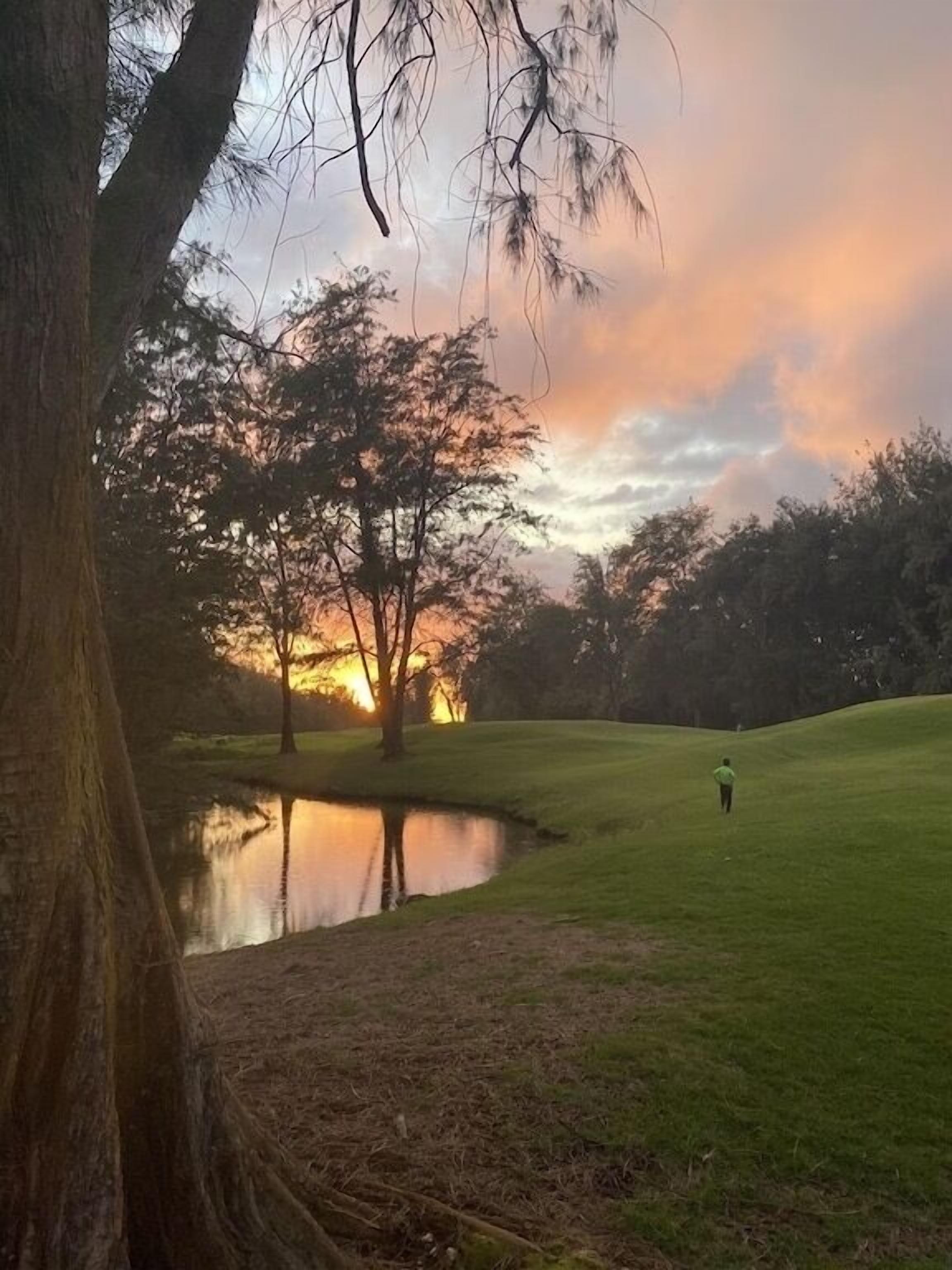 A serene golf course with a pond, trees, and a sunset in the background.