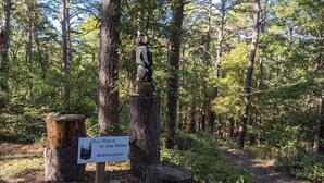 Un área boscosa con un letrero que dice 'Our Place in the Pines' y un hashtag '#lobolippines'.