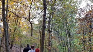 A forested path with two people walking away from the camera. - Loblolly Pines 3 Adventure Aframe (Eureka Springs)