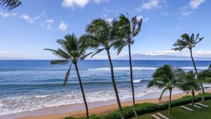 Una playa con palmeras y sillas de descanso.