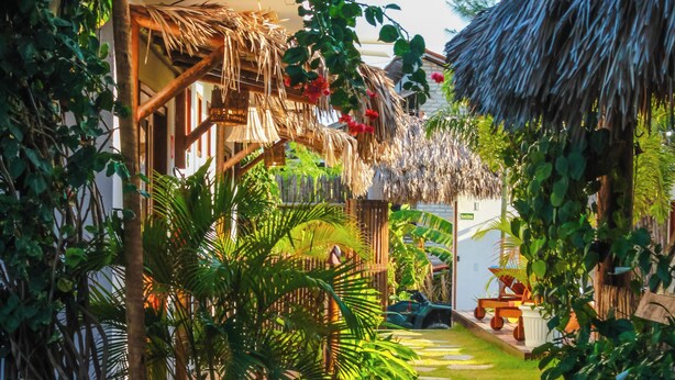 A garden pathway leading to a wooden structure with a thatched roof, surrounded by lush greenery and a wicker chair.