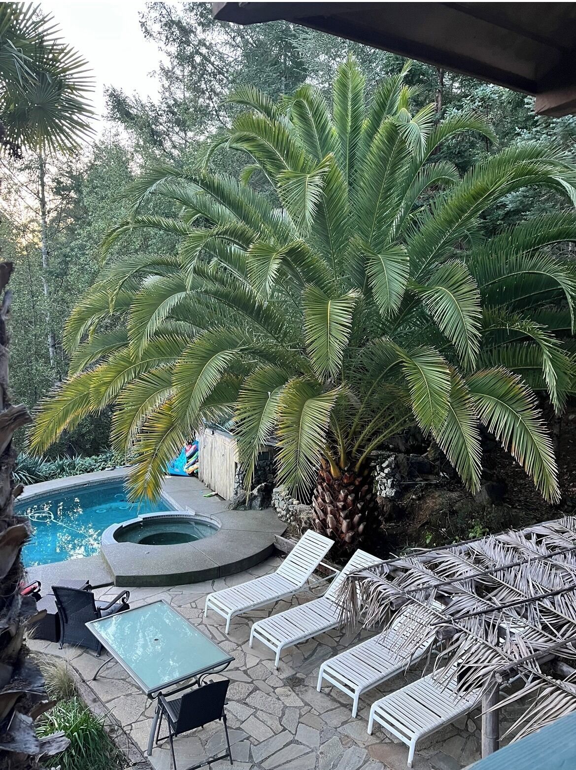 Alberca al aire libre 