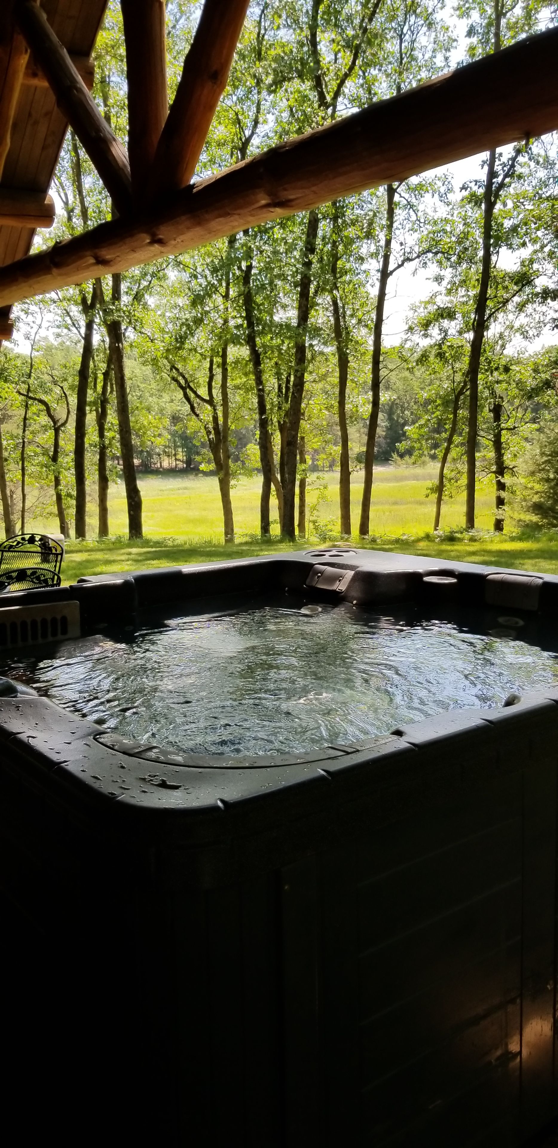 Un bain à remous avec vue sur une zone boisée.