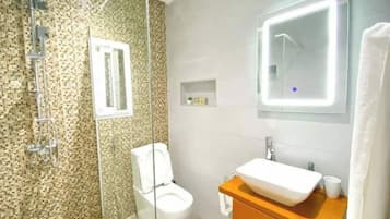 Serviettes fournies, savon, papier toilette