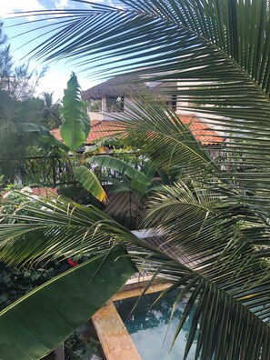 Room - Villa cajueiro  (Cruz)