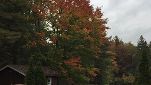 A wooden deck with a chair and a small shed. - Charming 2-bedroom cottage in Bancroft with AC, WiFi. Enjoy your stay (Bancroft)