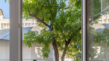 Útsýni frá gististað