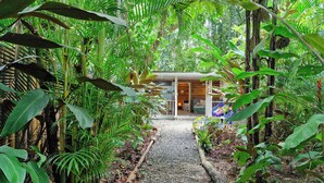 A pathway leading to a wooden structure surrounded by dense tropical foliage. - Mini Up House (Cahuita)