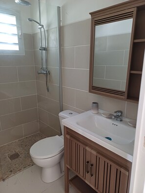 淋浴设施、毛巾、卫生纸