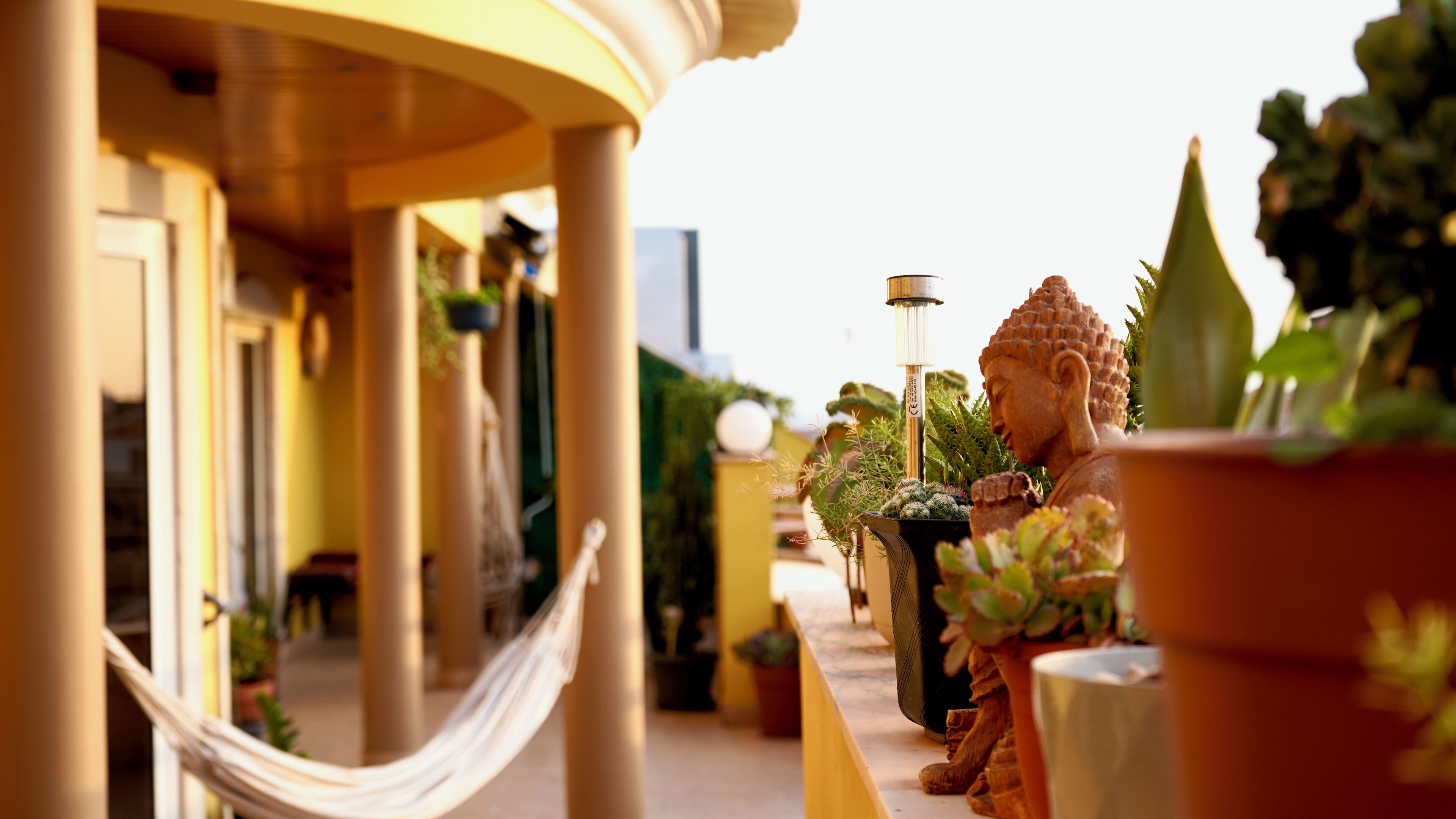 Uma área externa tranquila com uma rede, plantas em vasos e uma estátua de Buda.