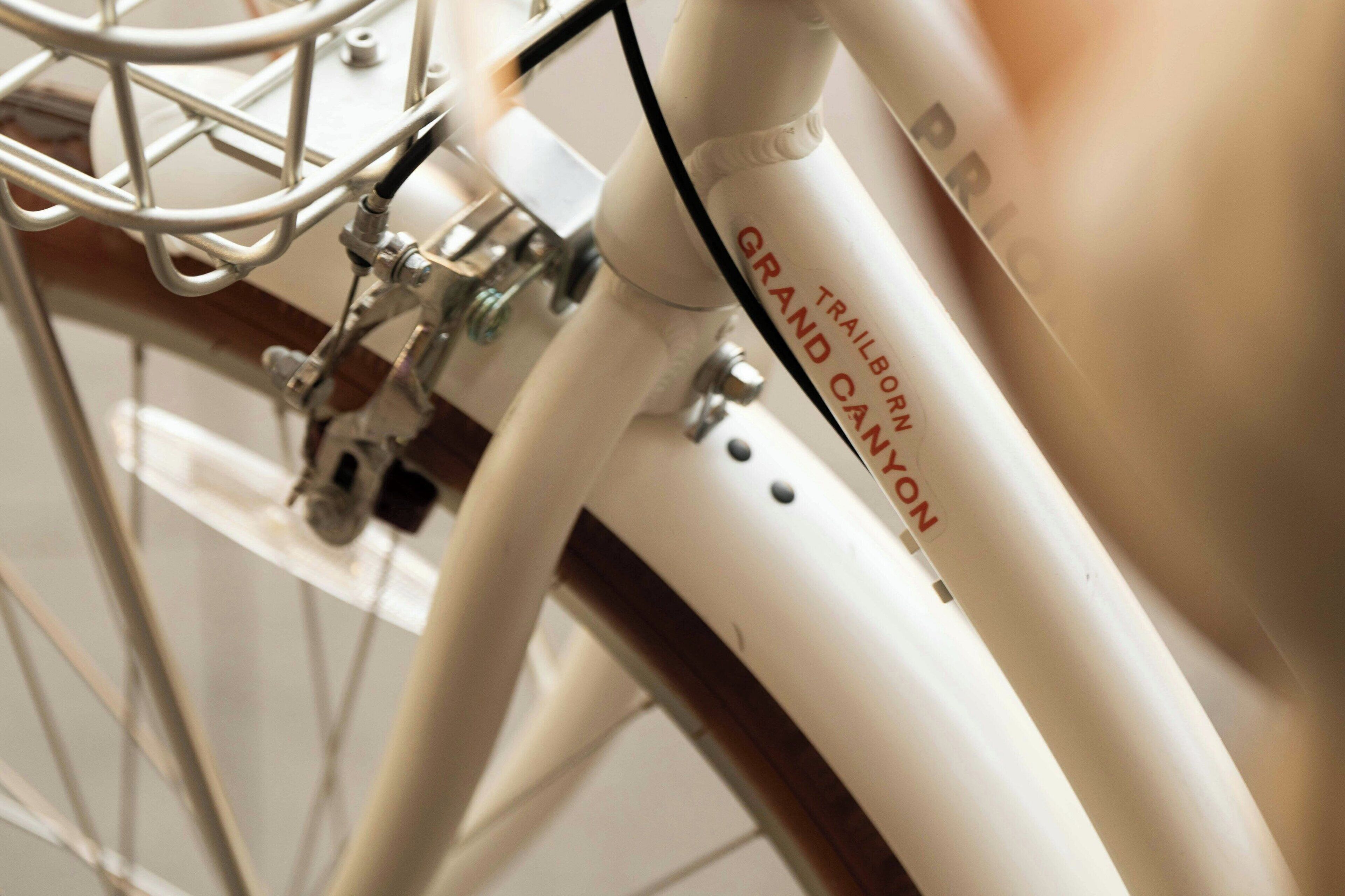 Primer plano del cuadro blanco de una bicicleta, con el texto "TRAILBORN GRAND CANYON" a la vista.