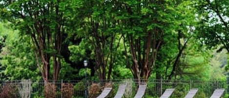 Relax by the pool surrounded by lush trees and enjoy a refreshing swim.
