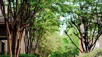 Parco della struttura