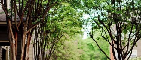 Enceinte de l’hébergement