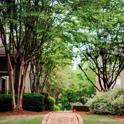 Walking distance to Vaught Hemmingway Stadium! Perfect for football Weekends!