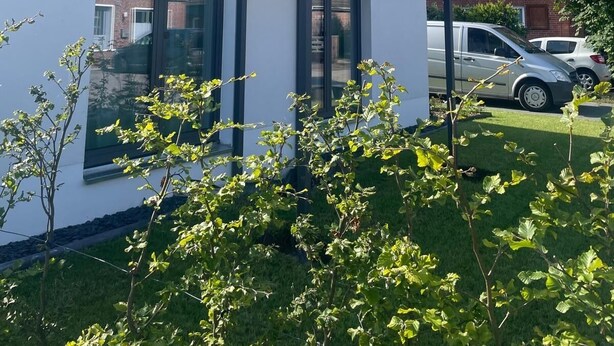 Una casa moderna de dos pisos con ventanas amplias y un balcón de cristal.