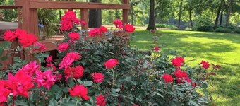 "Riverside Chalet" Walk-in Norfork River Access in Norfork, AR
