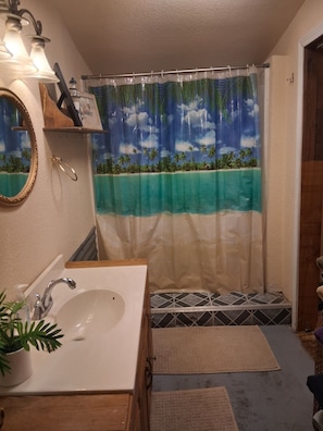 Hair dryer, towels, toilet paper