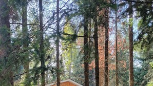 A couple standing in a forested area with a wooden cabin in the background. - Pinescape: Cabin•WiFi•Wood Fireplace•Pet friendly•Fish•Relaxation (Big River)