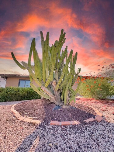 Pickleball Perfection. 2/2 Sun Lakes. Come See!