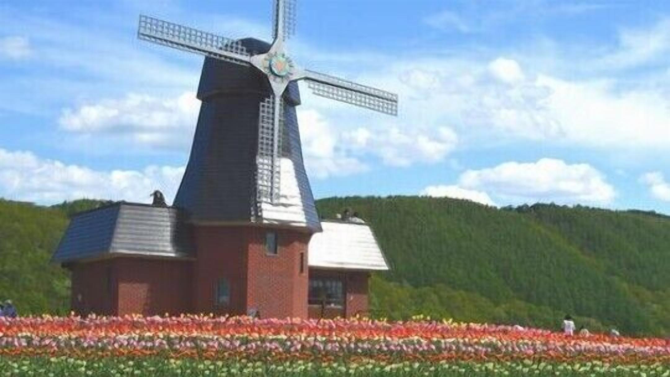 A windmill with a brick base and a metal structure, surrounded by a field of flowers.