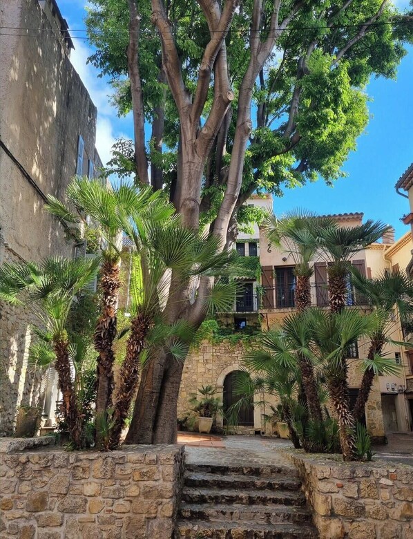 Property grounds - 06AN - Beautiful apartment in the heart of Old Antibes (Antibes)