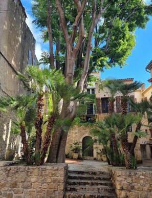 Stroll through a serene courtyard surrounded by lush greenery and traditional architecture.