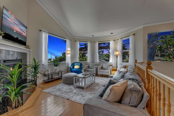 Tv, pejs, bøger, kontorer