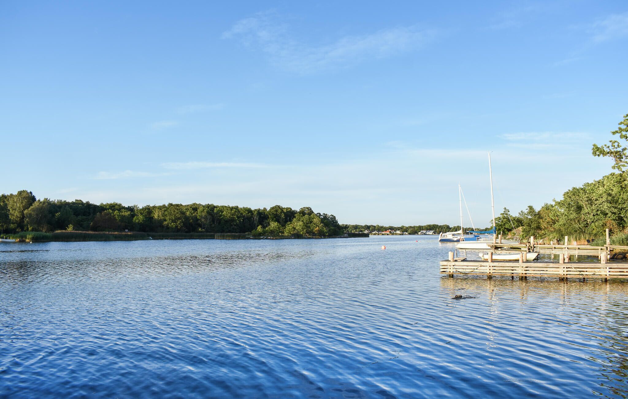 Un lac paisible, avec un quai et des bateaux, entouré d’arbres et surplombé d’un ciel dégagé.